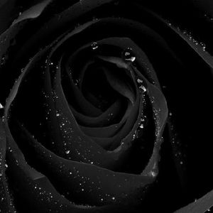 Meet your Posher, Ignacio